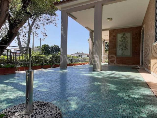 Villa in affitto ad Anzio via dei Gladioli, arredato, giardino privato, terrazzo TrovaCasa