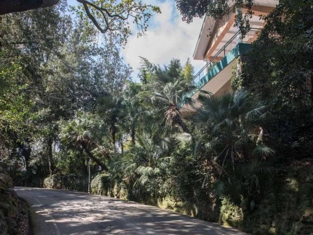 Villa in affitto|Lazio,Roma