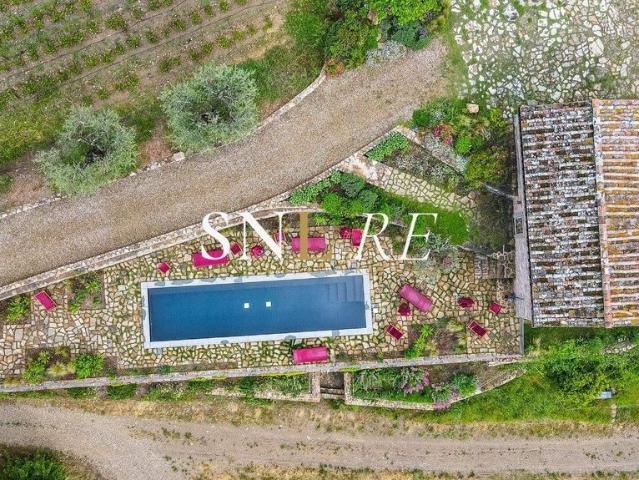 Villa in affitto|Toscana,Greve in Chianti