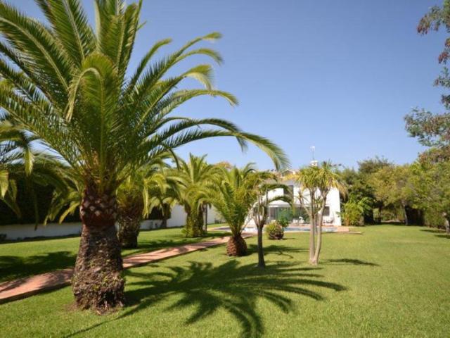 Villa in Guadalmina Baja, Costa del Sol