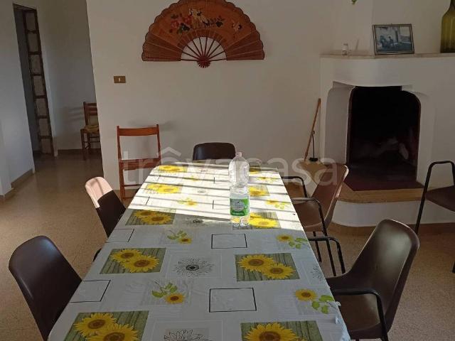 Villa in in affitto da privato a Torre Santa Susanna via Vecchia per Erchie, da privato, ripostiglio TrovaCasa