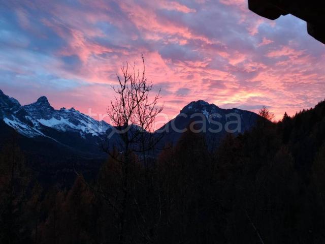 Villa in in affitto da privato a Valle di Cadore via Pier Fortunato Calvi, 44, da privato, nuova costruzione, panoramica TrovaCasa