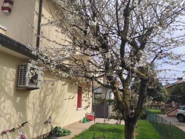 Villa in in affitto da privato a Venezia via Selvanese, 11, giardino, box, da privato TrovaCasa