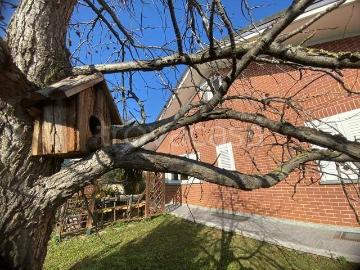 Villa in in affitto da privato a Villarbasse via dei Platani, 25, giardino, box, da privato TrovaCasa