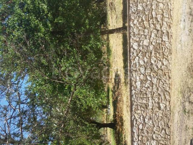 Villa in in affitto da privato a Calvi dell'Umbria sp6, 9, terrazzo, da privato, caminetto TrovaCasa