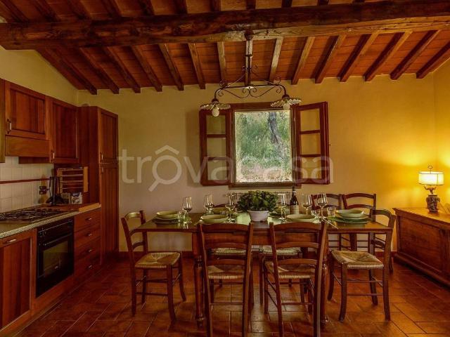 Villa in in affitto da privato a Calci via Calcesana, 5, giardino, da privato, vista panoramica TrovaCasa