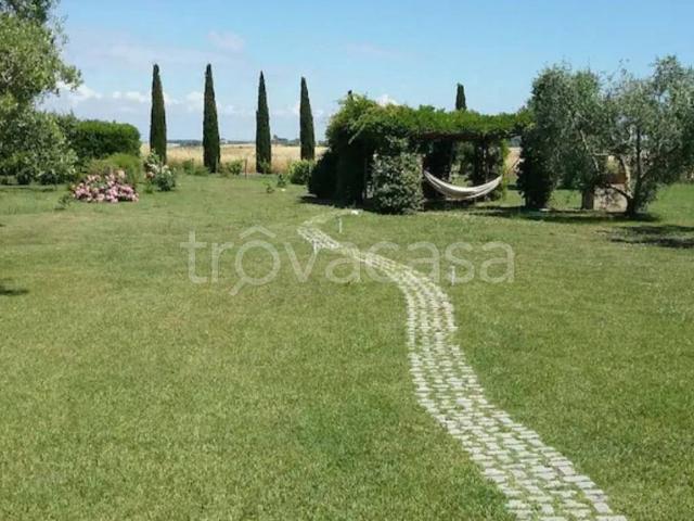 Villa in in affitto da privato a Capalbio località Centro H, 5, giardino, da privato, affaccio sul giardino TrovaCasa
