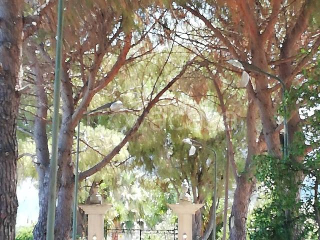 Villa in in affitto da privato a Carini via Sant'Anna, 71, arredato, da privato, zanzariere TrovaCasa