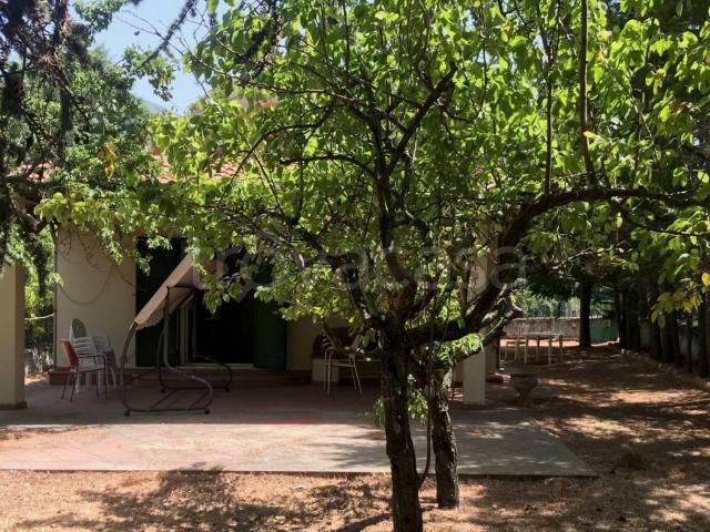 Villa in in affitto da privato a Corigliano Rossano strada Provinciale Rossano Sila, giardino, posto auto, da privato TrovaCasa