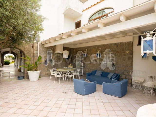 Villa in in affitto da privato a Forio via Giovanni Mazzella, 276, giardino privato, terrazzo, da privato TrovaCasa