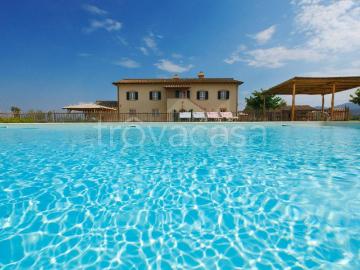 Villa Indipendente in affitto a Grosseto Toscana - Giardino