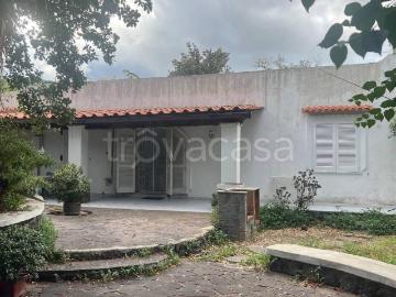 Villa in in affitto da privato a Ischia via Fondo Bosso, 6, giardino privato, da privato TrovaCasa