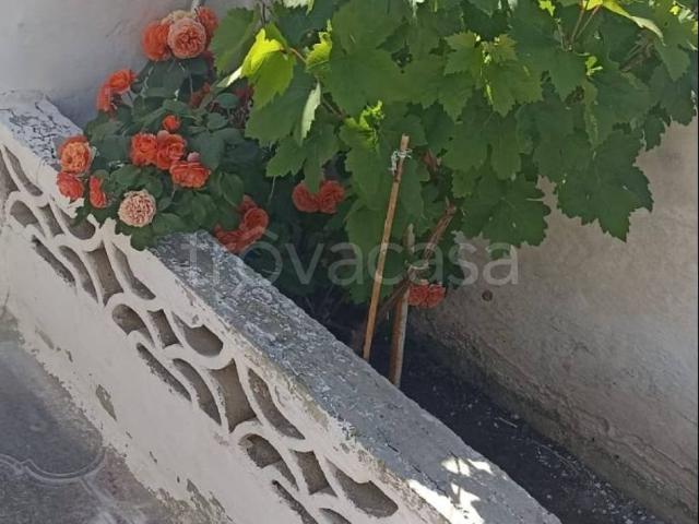 Villa in in affitto da privato a Lizzano contrada Conche, da privato, inferriate di sicurezza, veranda TrovaCasa