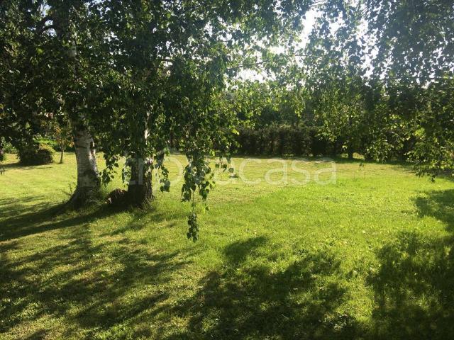 Villa in in affitto da privato a Luserna San Giovanni via t. Fuhrmann, 102, giardino, da privato, panoramica TrovaCasa