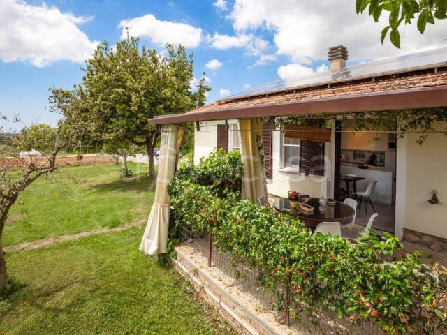 Villa in in affitto da privato a Magliano in Toscana località Poderone, 12b, giardino, da privato, lavastoviglie TrovaCasa