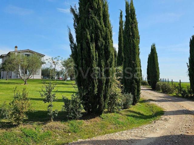 Villa in in affitto da privato a Montalto di Castro località Poggio Cavalluciaro, 25, giardino privato, da privato, nuova costruzione TrovaCasa