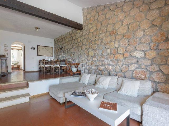 Villa in in affitto da privato a Monte Argentario via del Pianone Alto, 34, giardino, da privato, vista mare TrovaCasa