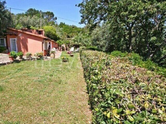 Villa in in affitto da privato a Monte Argentario via della Grotta, giardino, posto auto, da privato TrovaCasa
