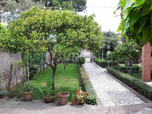 Villa in in affitto da privato a Nettuno via Passo di Somma, 28, giardino, posto auto, da privato TrovaCasa