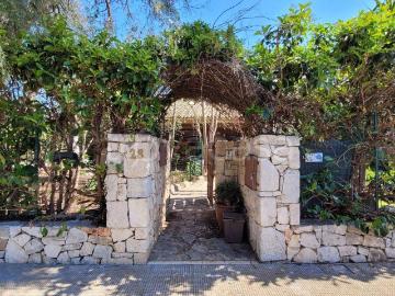Noicattaro, Bari Puglia, Puglia - Giardino