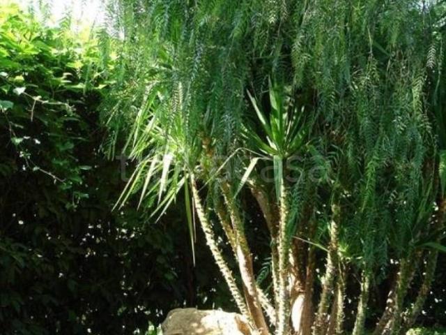Villa in in affitto da privato a Noicattaro località Parco Evoli, 20, giardino, da privato, riscaldamento centralizzato TrovaCasa