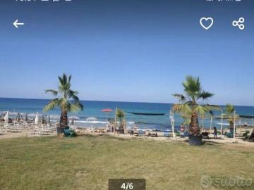 Villa in in affitto da privato a Noto via del Mare, giardino, da privato, centrale TrovaCasa