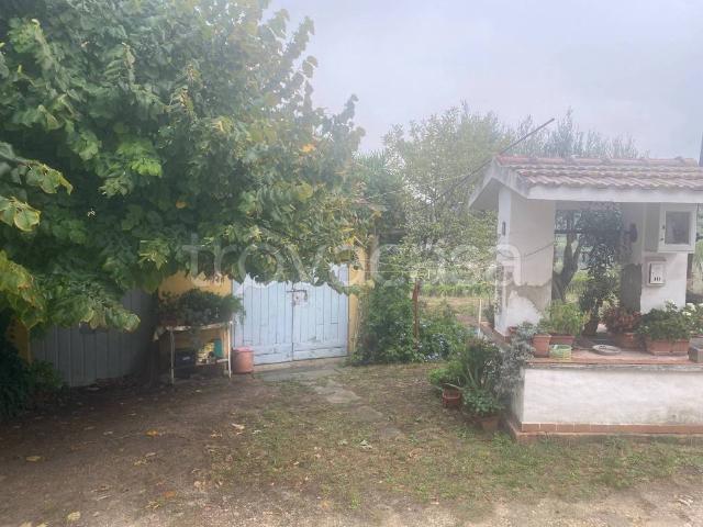 Villa in in affitto da privato a Ortona contrada Villa Rogatti, 7, da privato TrovaCasa