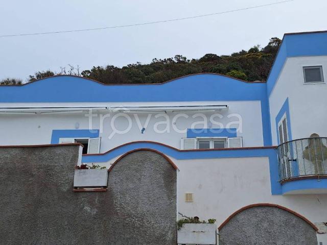 Villa in in affitto da privato a Ponza via Cala Cecata, snc, da privato, vista mare TrovaCasa