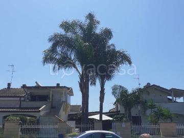 Muto, Frosinone Lazio - Giardino, Parcheggio auto