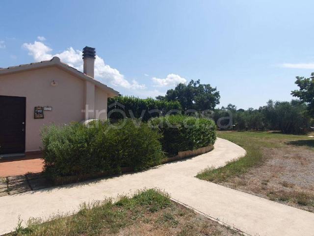 Villa in in affitto da privato a Scansano strada Provinciale Voltina, da privato, piscina, luminoso TrovaCasa