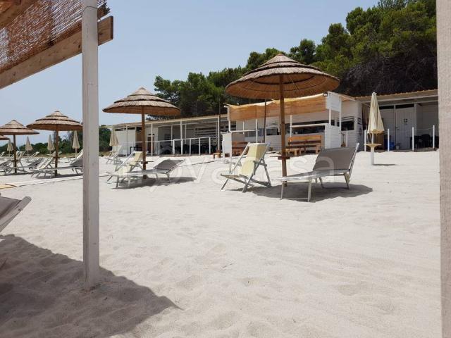 Villa in in affitto da privato a Sant'Ilario dello Ionio strada Provinciale Sant'Ilario Bivio, 20, giardino, da privato, caminetto TrovaCasa