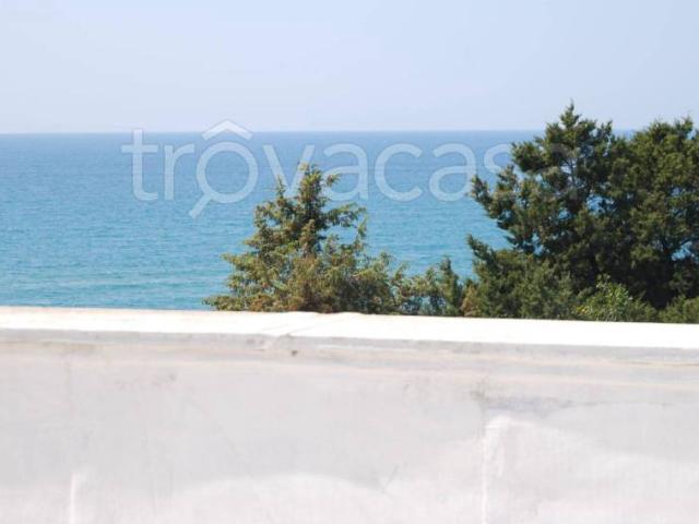 Villa in in affitto da privato a Sabaudia strada Lungomare Pontino, 11492, giardino, da privato, lungomare TrovaCasa