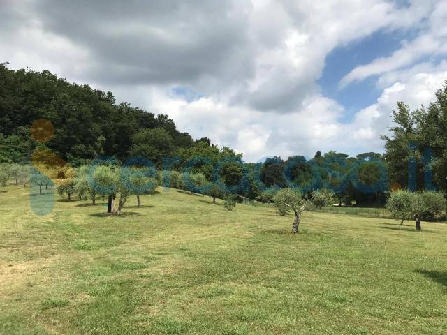 Villa in ottime condizioni in affitto a Santa Maria A Monte