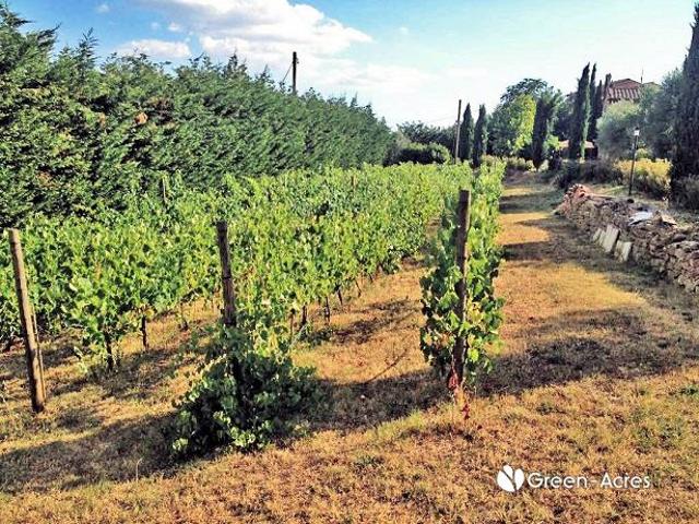 Villa in stile rustico Toscano ristrutturata con vigneto in. 220m² Cortona