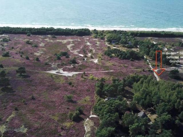 Villa Insel Hiddensee Insel Hiddensee 105444256