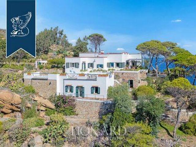 Villa Isola del Giglio Grosseto ES104439571