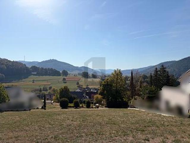 Villa Lahr Lahr 105756671