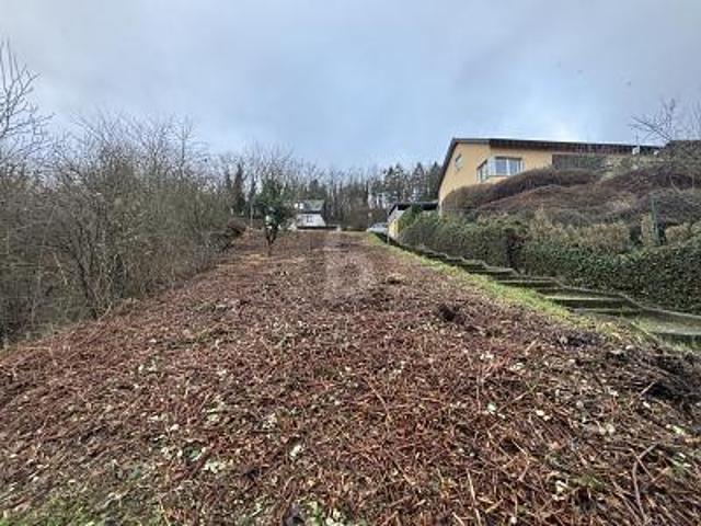 Villa Lieser Lieser 105527150