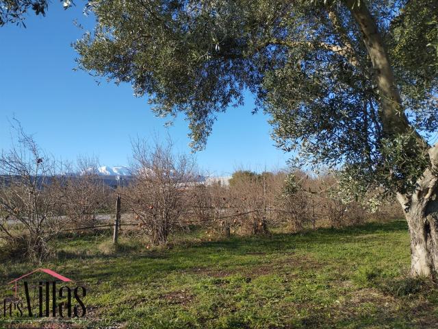 Propriété avec 2 villas de plain pied avec piscine et vue Ca. 228m² Thuir