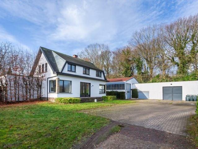 Villa met grote tuin, magazijn én weiland
