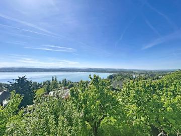 Villa mit atemberaubendem Blick auf den Murtener See