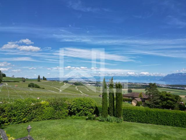 Villa mit atemberaubendem Blick auf die Küste, den See und die Alpen