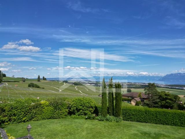 Villa mit atemberaubendem Blick auf die Küste, den See und die Alpen
