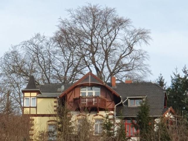 Villa mit Blick auf die Altstadt von Meißen