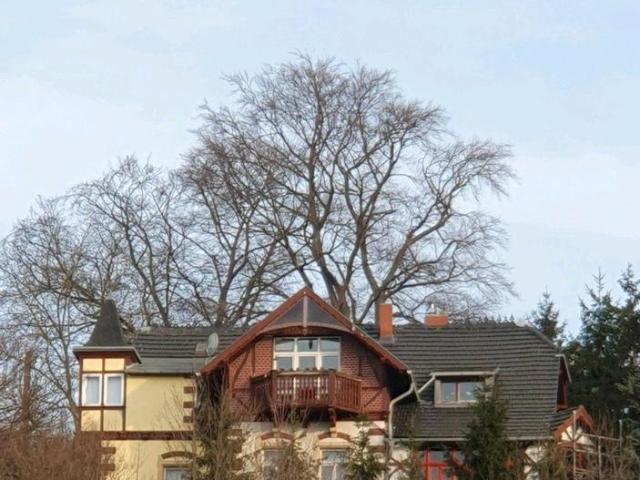 Villa mit Blick auf die Altstadt von Meißen