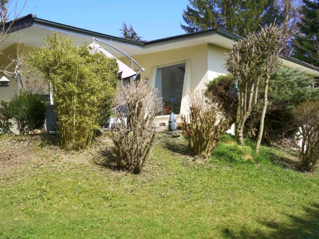 Villa mit großem Grundstück in Baierbrunn