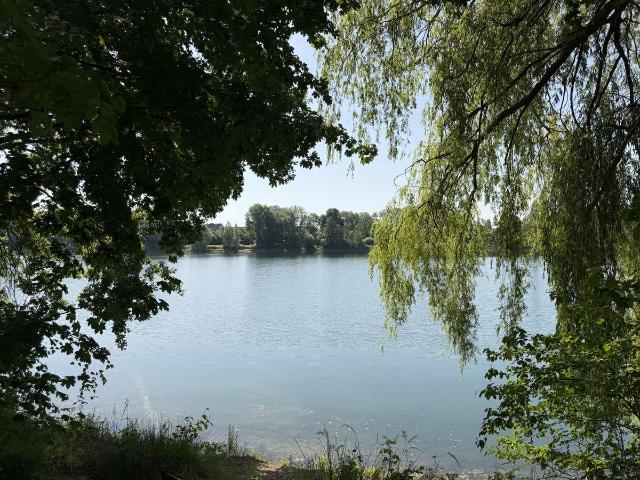 Villa mit Seeblick? Eher nein. Aber vielleicht Ihr neues Zuhause mit viel Charme und Disco Kugel!