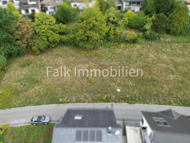 Villa Neckargemünd Neckargemünd 105758343