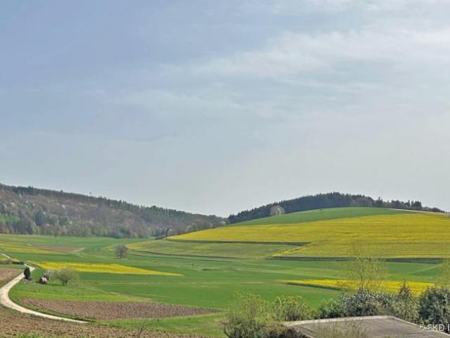 Villa Neunkirchen Neunkirchen LS105465380