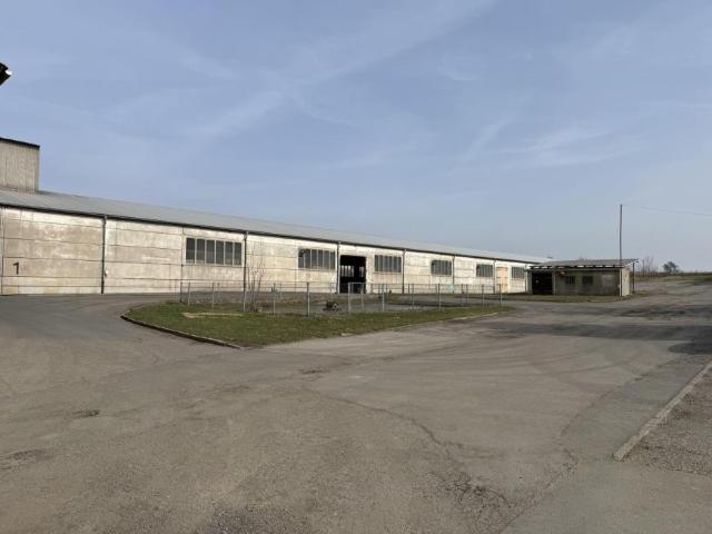 Villa Neustadt Neustadt 105461180